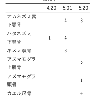 乙女高原のフクロウの食べ物分析