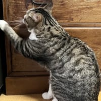 ちょい寒いかも。🙄