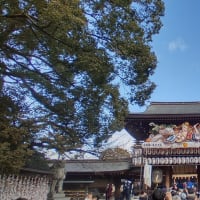 2024年～2025年　年越しで帰省してきました。