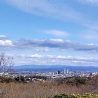 浮雲の桟橋：上からの景色