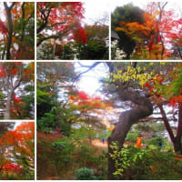 赤松ぼっくり庭園緑地