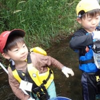 わんぱく遊び隊！通信　2025年7月6日(日)川で魚とりをしよう！