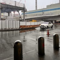 フォトウォーク〰︎雪の東京
