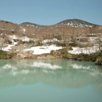 ２０２５年５月１３日　北八甲田　睡蓮沼から萱野高原　　