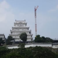 素屋根が外され、平成の大改修終盤　真っ白な姫路城に圧巻！