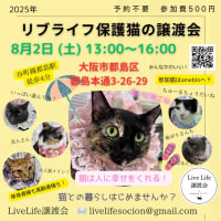7/5リブライフ譲渡会ありがとうございました！