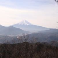 高川山　　2014.02.03