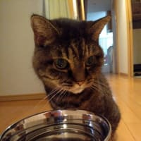悩む必要は無かろう