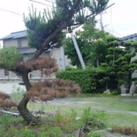 大変な事を・・・