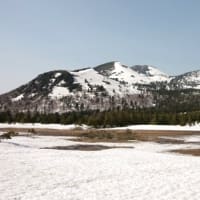 ２０２５年５月１３日　南八甲田　櫛ヶ峯③　山頂から睡蓮沼へ