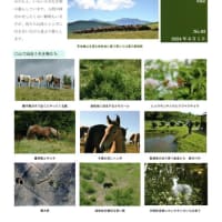 遠野馬通信NO.93