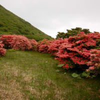 0521~24　下北半島2座＆大間~函館恵山登頂（9）