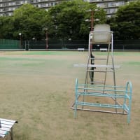 「テニスコート」へ行ったのですが、、、