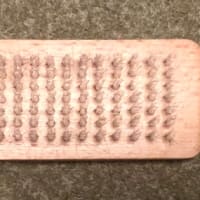 どんな夢見てんのかなぁ〜❓､､､。