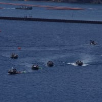 【拡散願います】【補正】大浦湾は、土曜日でもガンガン動いていた（20250531－①）