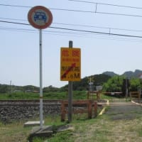 山陽本線115系N編成　4種踏切を通過する列車　2024-05-25