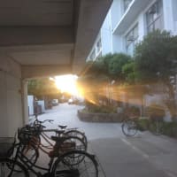 2025 夏至