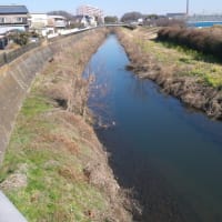 １月の寒川神社：寒川神社境内から参道を歩いてＪＲ相模線宮山駅へ　ＰＡＲＴ２