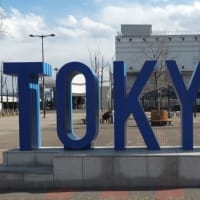 台場 シンボルプロムナード公園　冬の花々