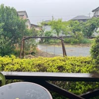 雨の日の連休最終日