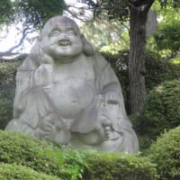たまに行く赤塚山乗蓮寺の「東京大仏」！凛々しいお顔がたまりません！