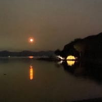 オレンジ色の・・・