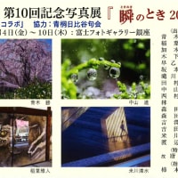 写真展のご案内