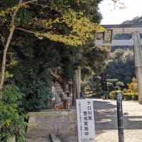 京都・八幡、石清水八幡宮（１）