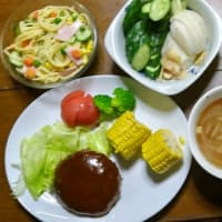 7/4　ばんごはん　ビーフハンバーグ