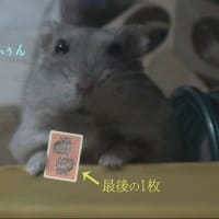 「ダウトがかかっている」って？