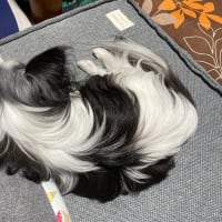 ９月４日　土曜日　雨曇