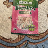 マリンが キラ～んとした目で見つめるものは？