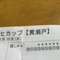 ビールを1ケース貰って来ました