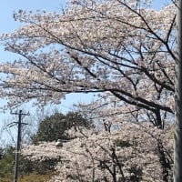 ボケをかますのは漫才 現代日本語百科 けふも お元気ですか ボケをかますのは漫才 現代日本語百科 けふも お元気ですか