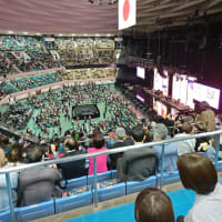 シンディ・ローパー武道館 フェアウェルツアーへ行ってきました
