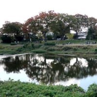 賀茂川の11月sketch