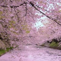 みちのく一人旅　青森県２