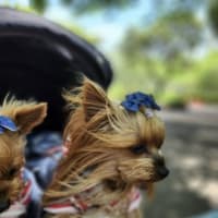 袖ヶ浦公園へ