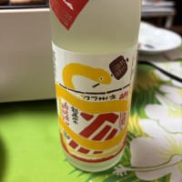 初詣もやっぱりお酒