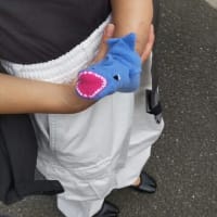 05-Oct-23　あんよは上手