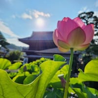 人の子はなぜ泣くのか