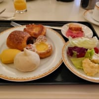 東京ディズニーランドホテル