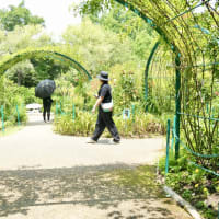 きらめきワークスウォッチャーズ特別編！モネの庭へ！！