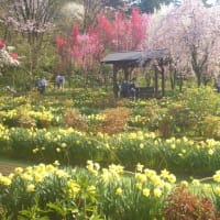 花も歴史も楽しめる「花の森・天神山ガーデン」