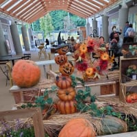ハロウィンｂｙ道の駅かさま