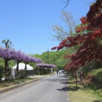 ふじの回廊・つどいの丘・幸田町役場-2