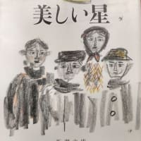 読書感想文896