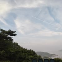 涼しい朝に