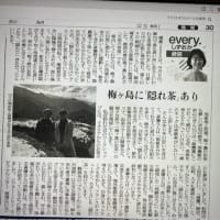 読売新聞にて「隠れ茶」「梅ヶ島」紹介