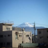 山梨からの富士山